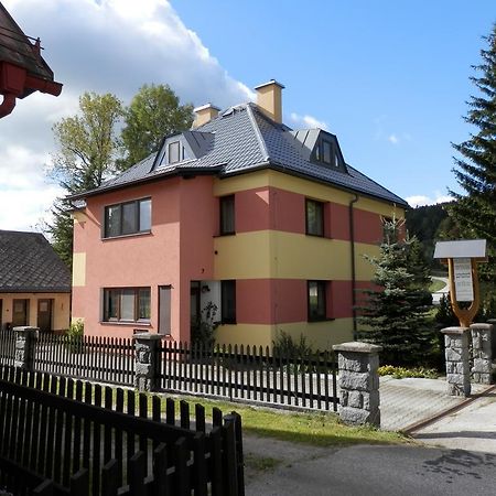 Villa Ubytovani Verner Destne v Orlickych horach Exterior foto