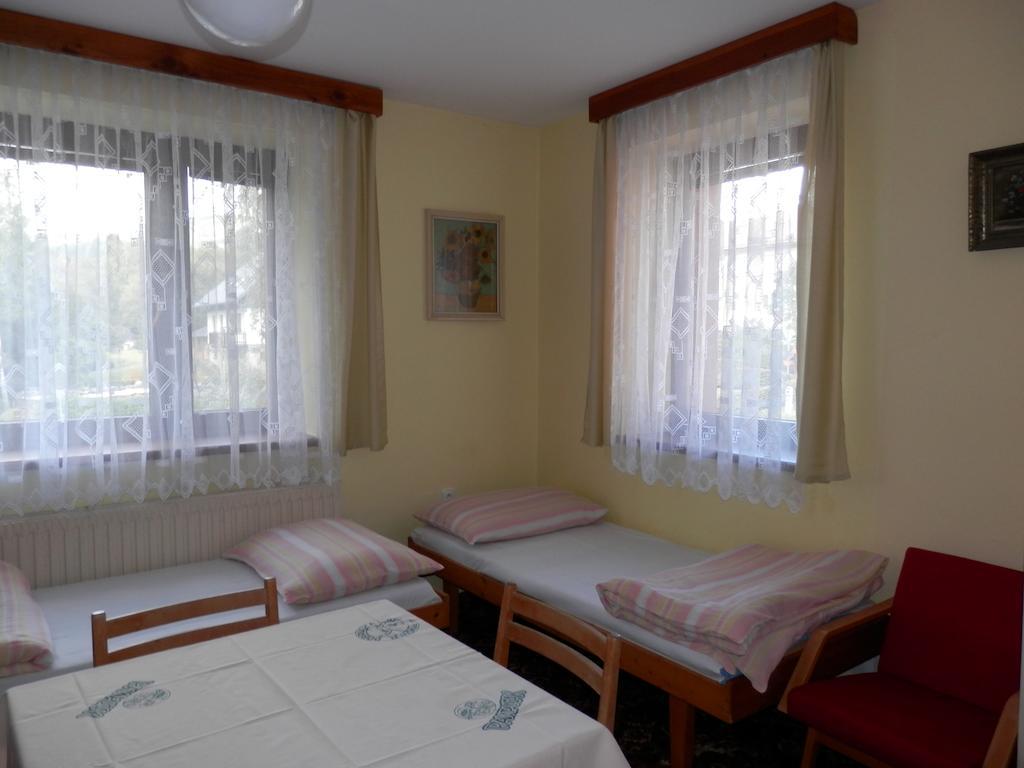 Villa Ubytovani Verner Destne v Orlickych horach Zimmer foto