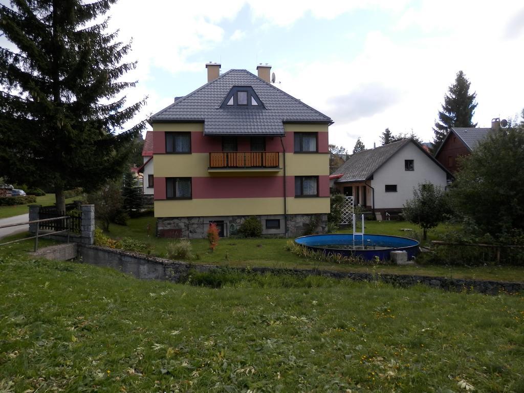 Villa Ubytovani Verner Destne v Orlickych horach Exterior foto